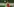 Kopfballduell von zwei Fußballerinnen beim Spiel Wolfsburg gegen Lilleström