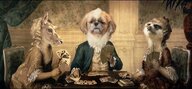 In einer Fotomontage, die wie ein Gemälde aussieht, sitzen um einen Spieltisch als Menschen verkleidet drei Tiere