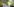 Eine Frau hält ein Plakat mit der Aufschrift "Rittenhouse Racist Killer", im Hintergrund: von Laternenlicht angestrahlte Bäume