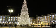 Riesiger Weihnachtsbaum glitzert t in einer Altstadt