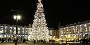 Riesiger Weihnachtsbaum glitzert t in einer Altstadt