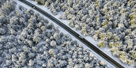 Luftaufnahme aus der Vorgelperspektive auf Landstraße, die durch einen verschneiten Wald führt