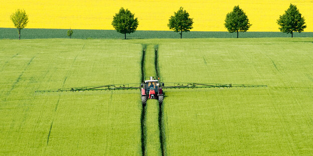 Ein Traktor fährt durch ein hellgrünes Feld.