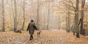 Mensch mit Hund im Herbstwald