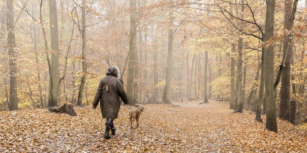Mensch mit Hund im Herbstwald
