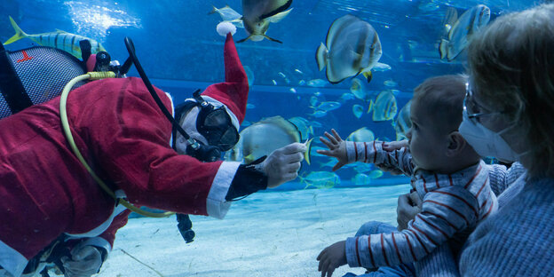 Ein Taucher in Weihnachtsmannkostüm winkt in einem Aquarium
