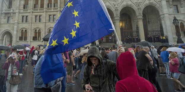 Ein Mann schwenkt eine EU-Fahne