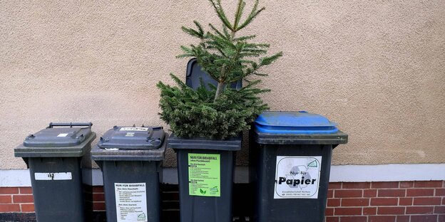 Ein Weihnachtsbaum in einer Mülltonne.