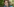 Das Foto zeigt die grüne Vorsitz-Kandidatin Susanne Mertens
