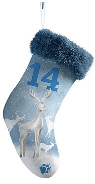 Eine Weihnachtssocke mit der Zahl 14 drauf Eine Weihnachtssocke mit der Zahl 14 drauf