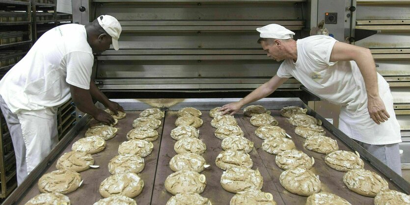 Zwei Bäcker sortieren frisch gebackenes Landbrot