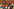 Jacob Zuma und Gaddafi beim Staatsbesuch Jacob Zuma und Gaddafi beim Staatsbesuch