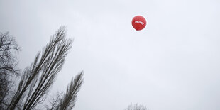 Ballon der Partei die Linke.