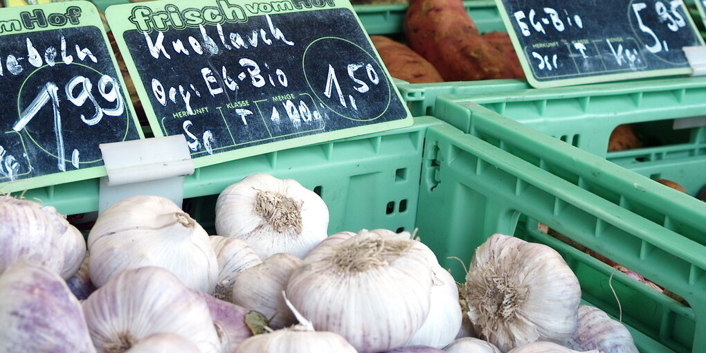 Knoblauch-Knollen in einem Gemüsekorb