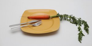 Karotte und Besteck auf einem Teller