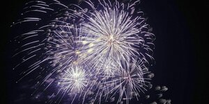 lilafarbenes Feuerwerk erleuchtet den Nachthimmel