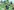 Wimmelbild mit Gorch Fock, Pimmel-Grote und Wolf