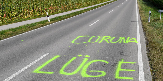 Auf einer Straße steht in grüner Schrift Corona Lüge, der Mais am Straßenrand steht hoch