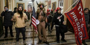 Trump Anhänger mit Fahnen und Büffelkostüm im Capitol