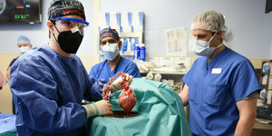 Ärzte in Operationskitteln zeigen ein Schweineherz
