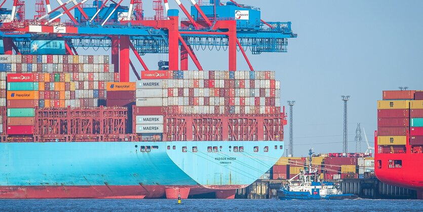 Containerschiff, im Hintergrund ein Containerterminal.