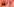 Zeitungsausschnitte und Collagen, auf denen unter anderem ein gezeichnetes Porträt der Autorin Elsa Maxwell zu sehen ist, hängen an einer Wäscheleine von