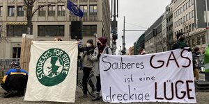 Fridays for Future demonstrieren in Berlin
