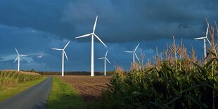 Windräder, ein Maisfeld und eine Straße