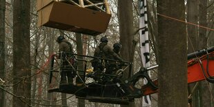 Polizisten in luftiger Höhe im Wald