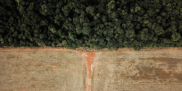 Luftaufnahme zeigt die Abholzung des Regenwaldes