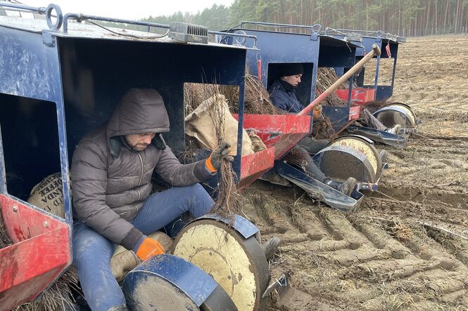 Pflanzer auf der Maschine