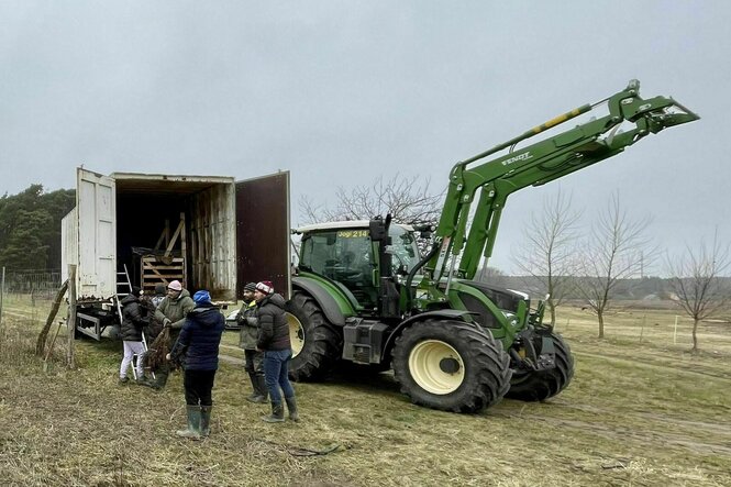 Bagger und Container