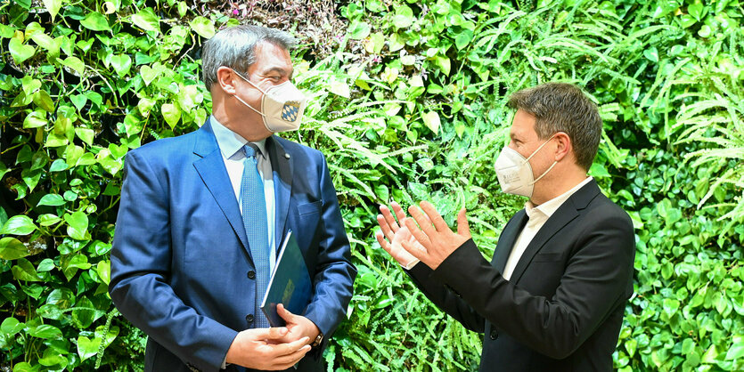 Markus Söder und Robert Habeck stehen vor einer grünen Hecke