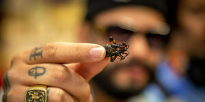 Ein Mann mit tatowierter Hand hält einen Käfer in die Kamera