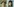 Montage zweier Bilder von Matthias Groebel: Ein Mann mit Bart im rechten Bildrand; das Gesicht einer Frau mit Ponyfrisur vor blauem Hintergrund