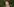 Portrait von Sue Gray