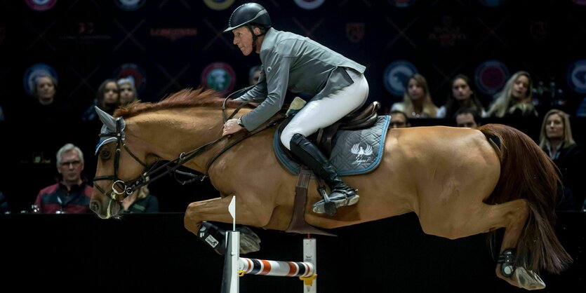 Ludger Beerbaum springt mit seinem Pferd über eine Hürde