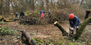 Mitglieder der Baugemeinschaft räumen schonmal das Grundstück frei