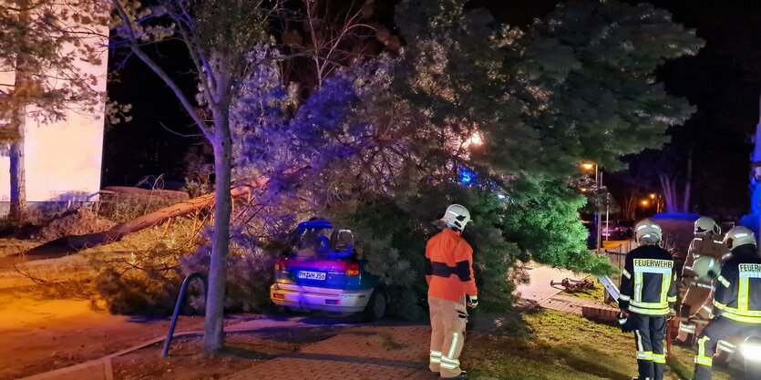 Feuerwehr im Einsatz wegen umgefallener Bäume