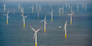 Windräder ragen aus dem Meer