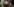 Ein Portrait auf dem Display eines Smartphones