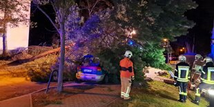 Ein umgestürzter Baum hat ein Auto zerstört