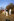 Vier Männer in 80erJahre Klamotten mit Sonnenbrillen stehen auf einem Hügel im Sonnenlicht, im Hintergrund kahle Bäume,