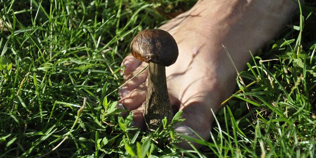 Ein nackter Fuß im Gras. Neben dem großen Zeh steht ein Pilz.