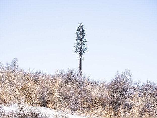 Ein Funkmasten, der wie ein Baum aussieht steht in einer Schneelandschaft