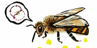 Eine gemalte Biene, in der Denkblase sind Richtungspfeile