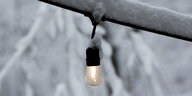 Das bild zeigt eine einzelne Glühbirne in Schneelandschaft.