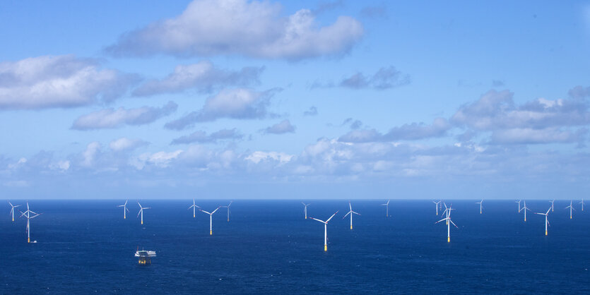 Windräder im Meer