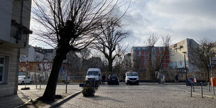 Eine Weide in der Seelower Straße in Berlin Pankow