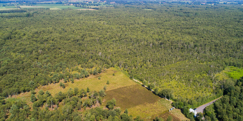 Blick aus der Vogelperspektive auf das Sulinger Moor im Landkreis Diepholz.